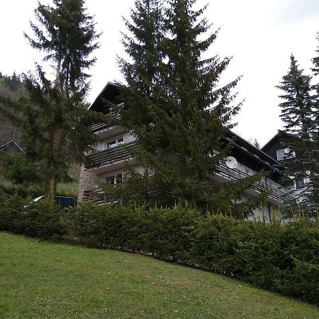 Krkonose Apartment Jablonec nad Jizerou Exteriör bild